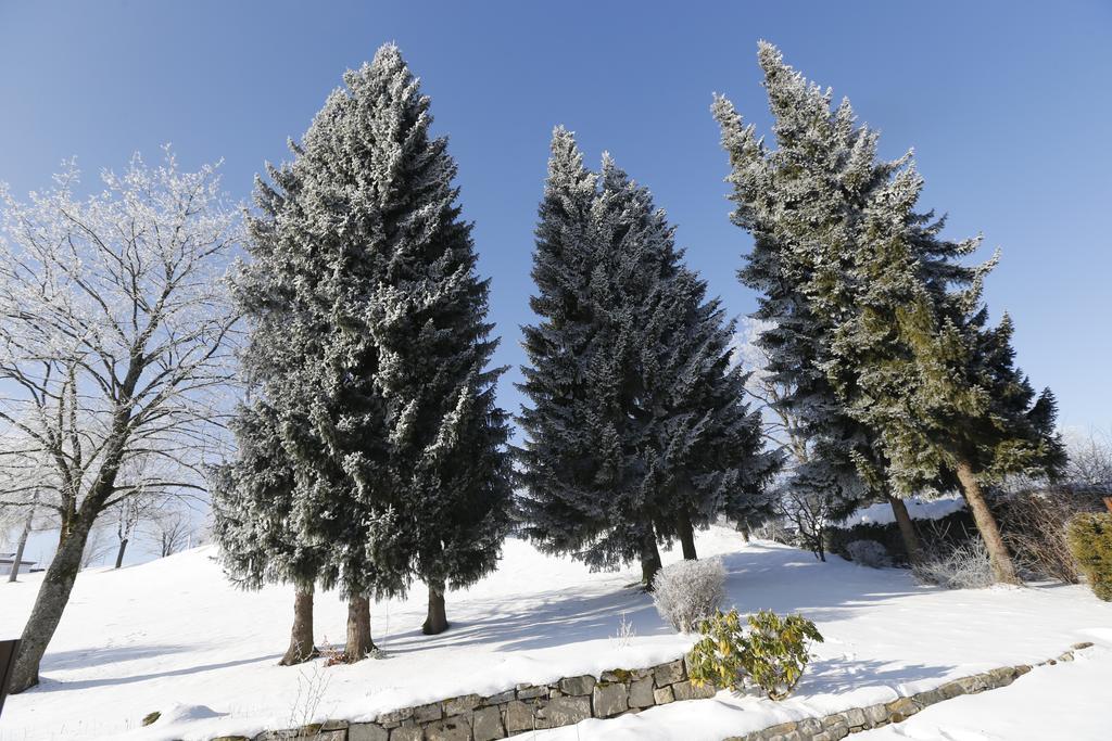 Landhotel Gottinger Waldkirchen Dış mekan fotoğraf